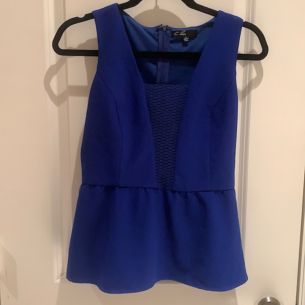 Gorgeous Blue Blouse with Sheer V Neck